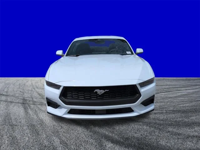 New 2026 Oxford White Ford EcoBoost® Fastback image 9