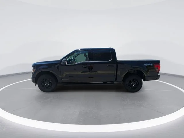 Used 2024 Black Ford XLT image 5
