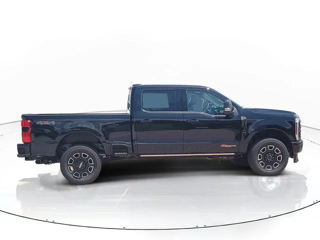New 2026 Black Metallic Ford Platinum image 4