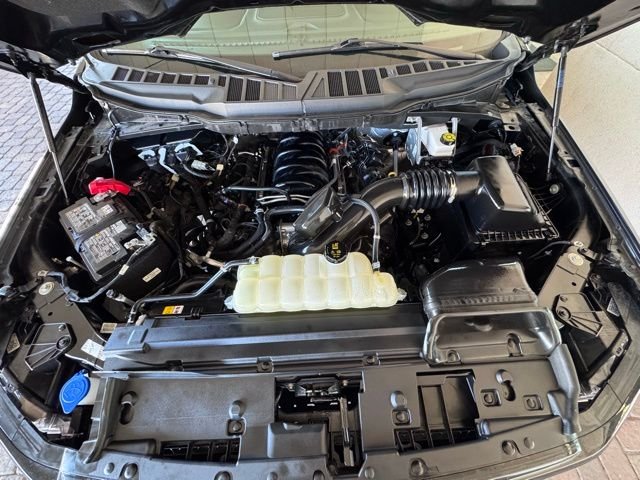 2025 Ford F-150 XLT - Photo 24