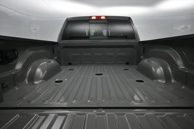 New 2026 Ceramic Gray Clearcoat RAM Black Express image 13