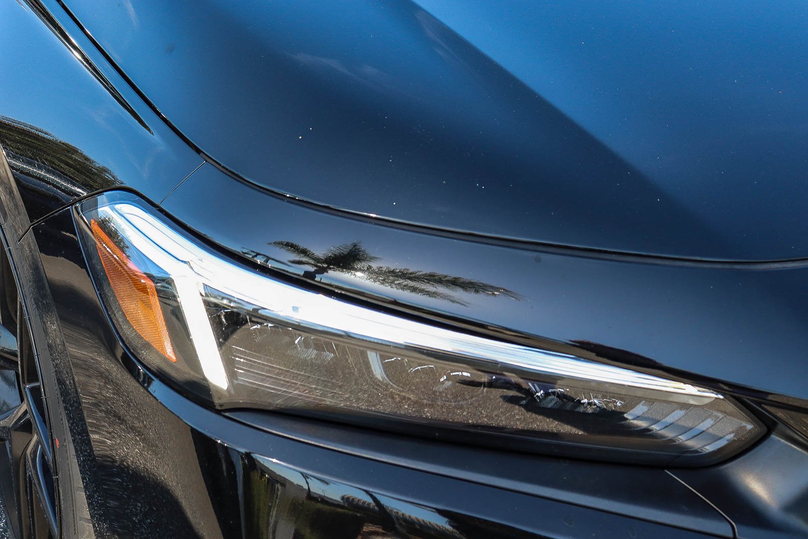 Certified Used 2024 Crystal Black Pearl Honda Sport image 6