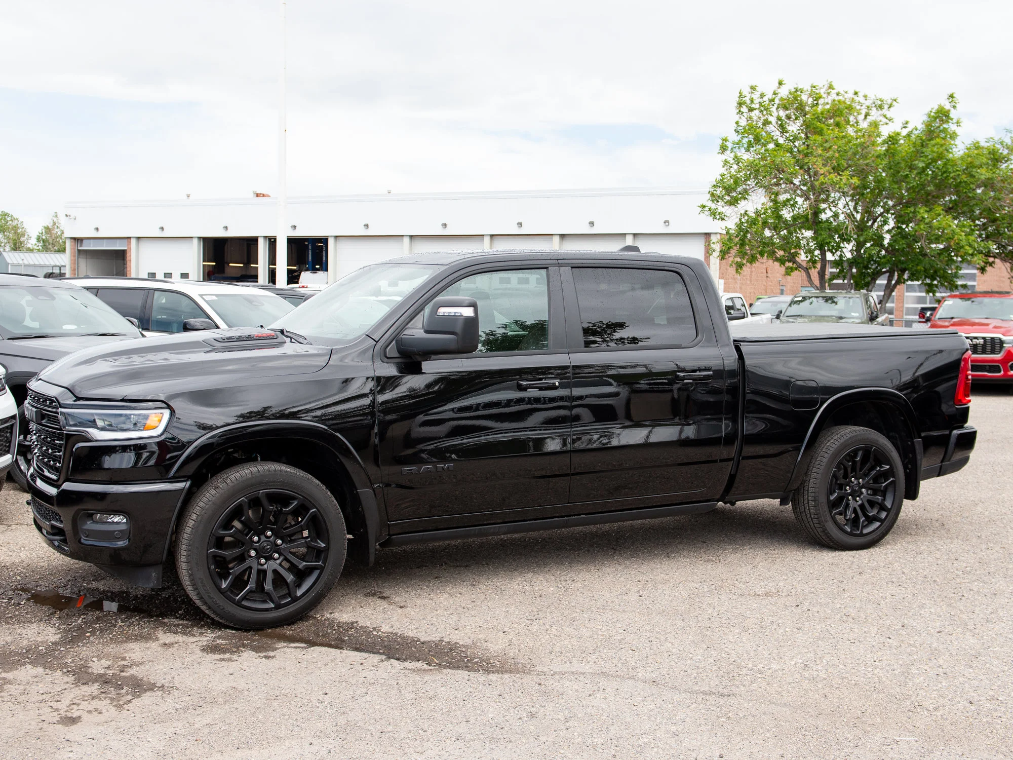 Used 2026 Black RAM Limited* image 2
