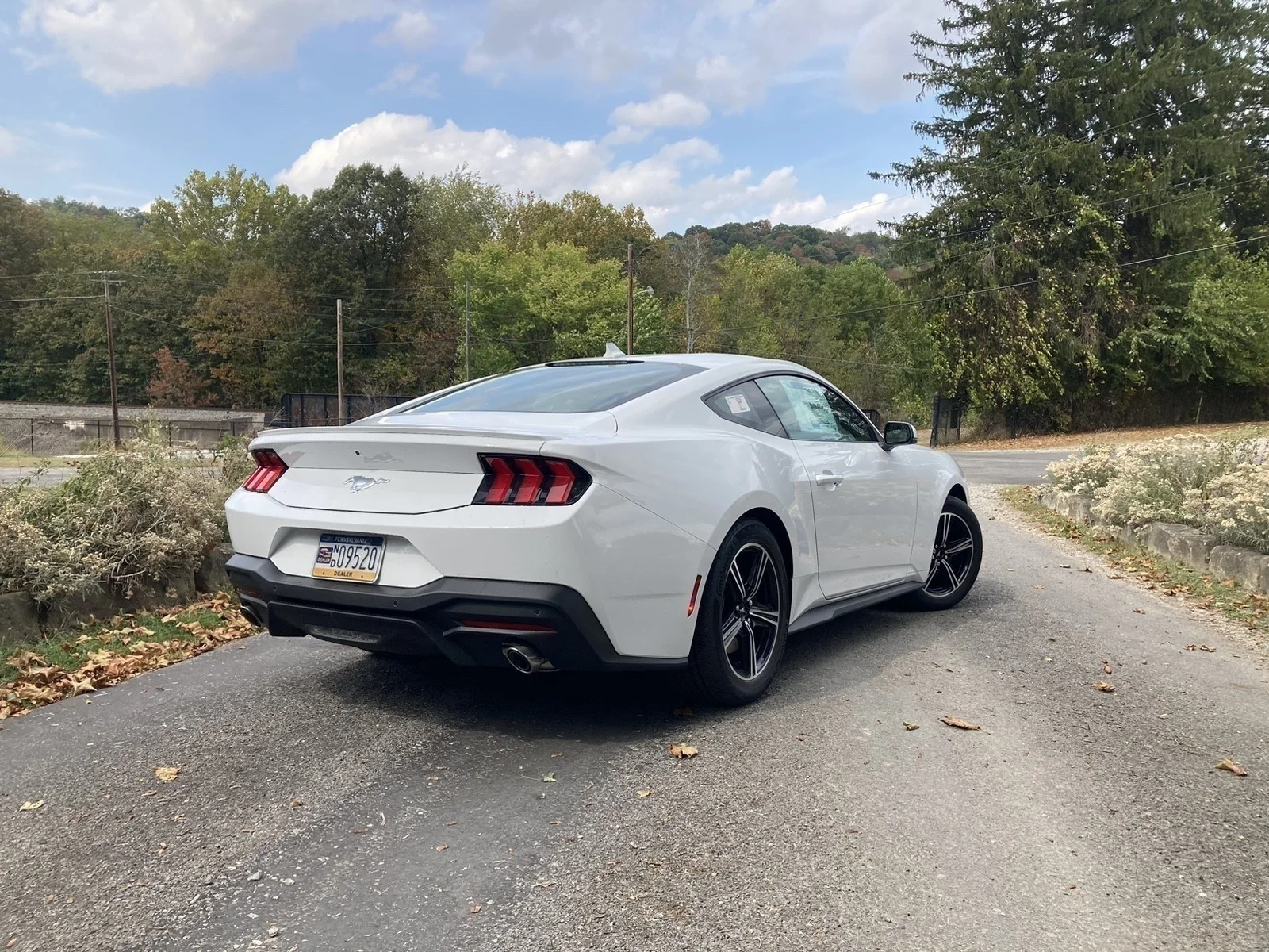 2025 Ford Mustang EcoBoost Premium Fastback - Photo 6
