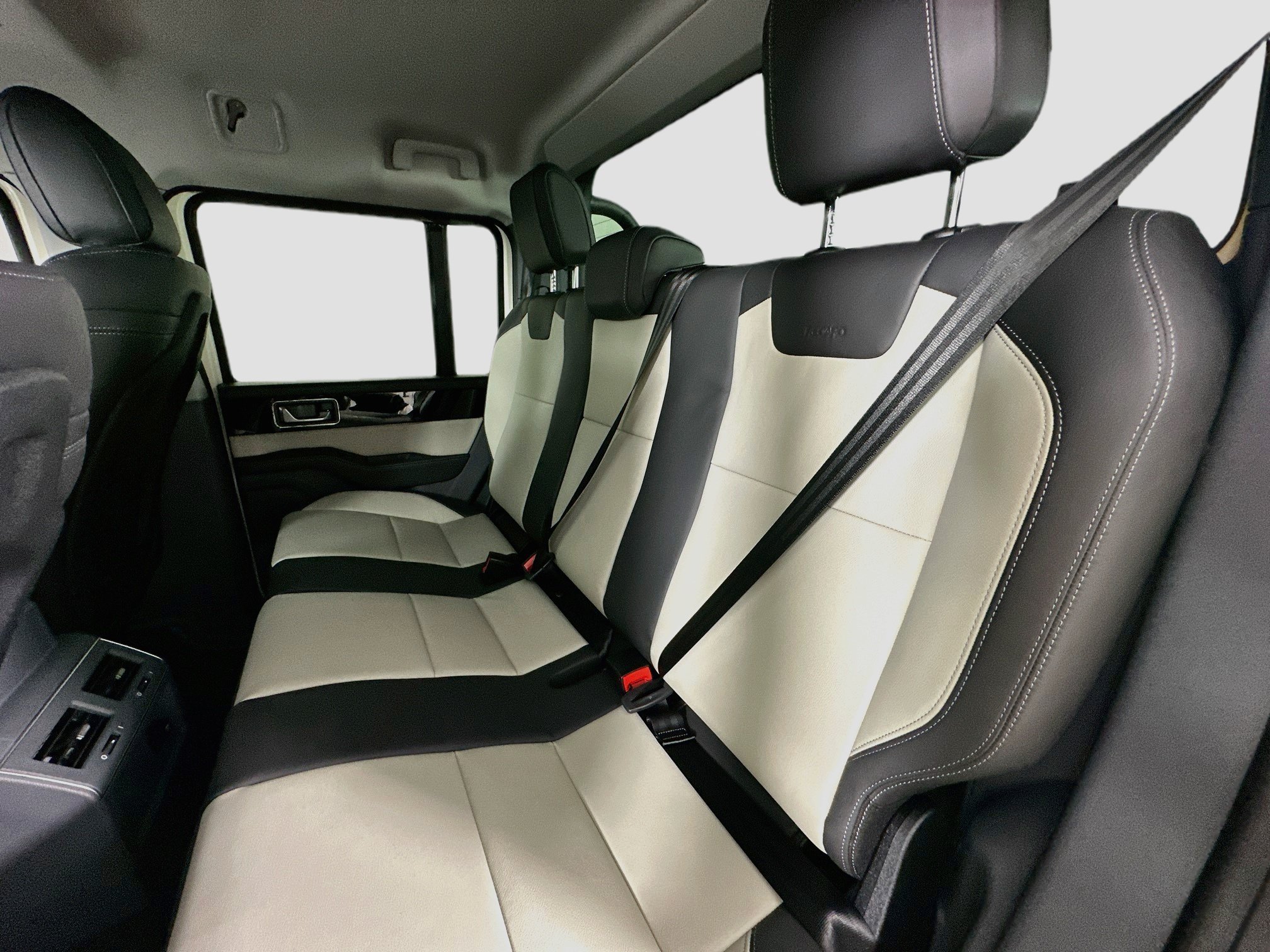 New 2025 Scottish White INEOS Fieldmaster Edition image 37