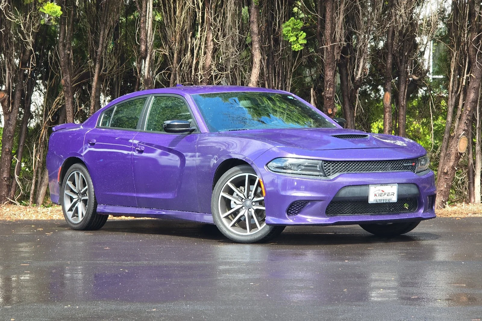 Used 2023 Plum Crazy Pearlcoat Dodge R/T image 2