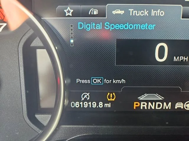 Used 2019 White Ford Raptor image 16