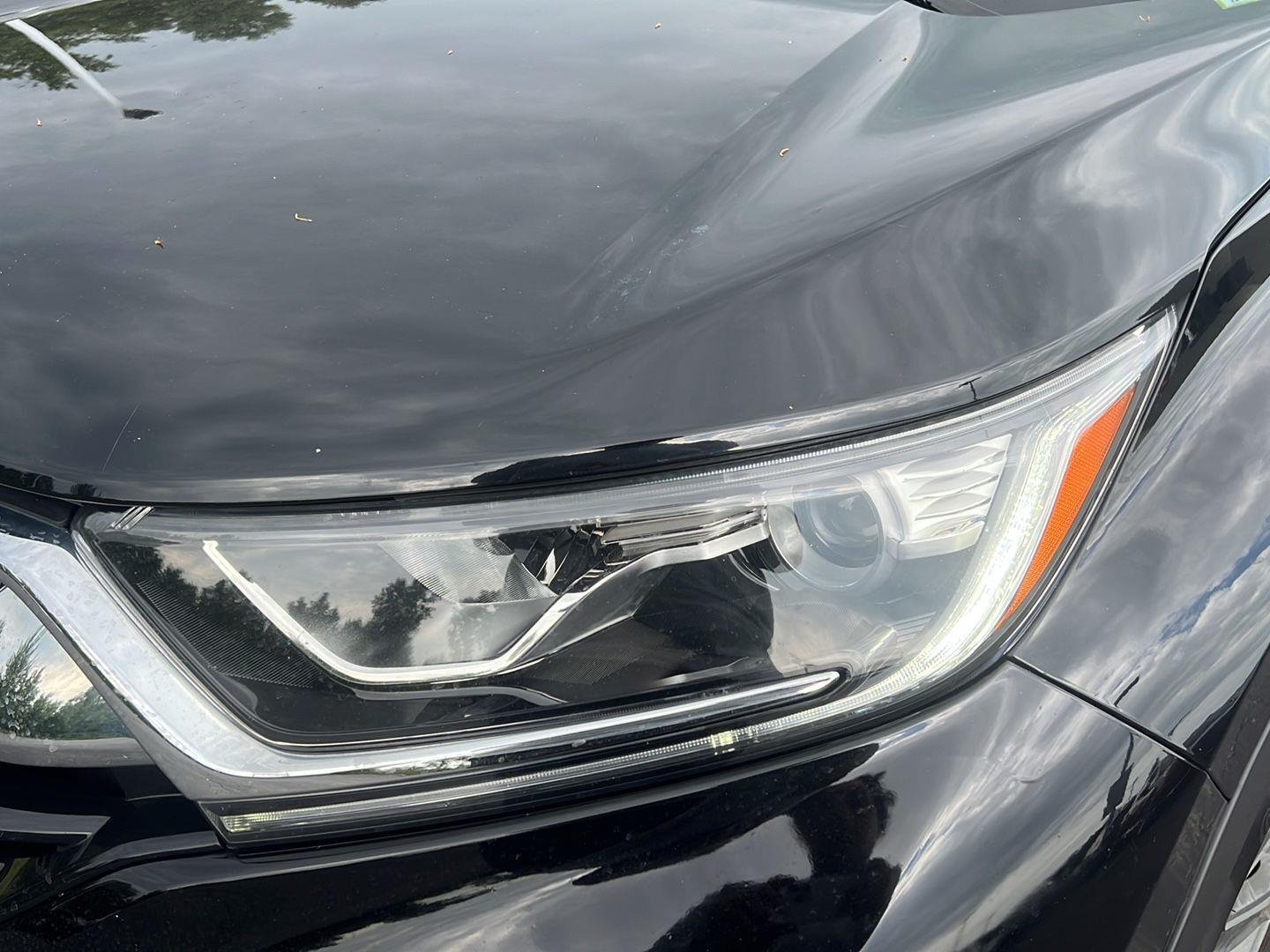 Used 2019 Crystal Black Pearl Honda LX image 19