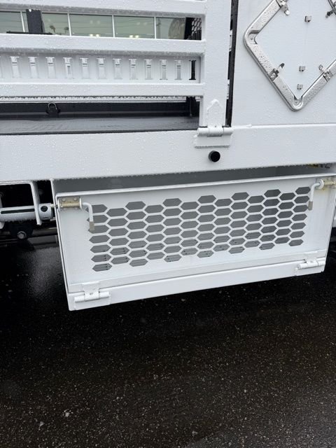 New 2025 White Ford XL image 10