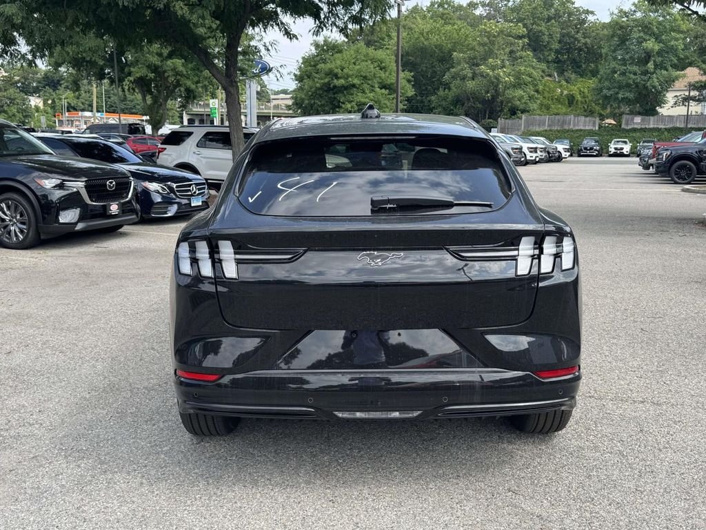 New 2026 Shadow Black Ford Premium image 6