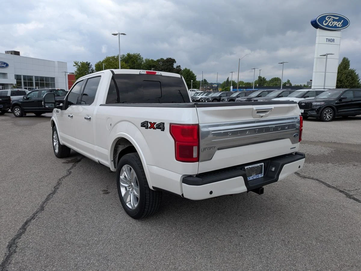 Used 2019 White Ford Platinum image 8