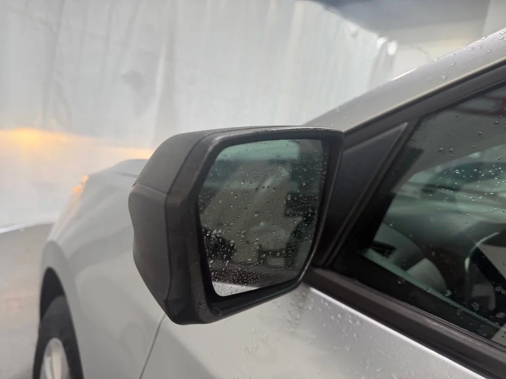 Used 2019 Silver Chevrolet LS image 9