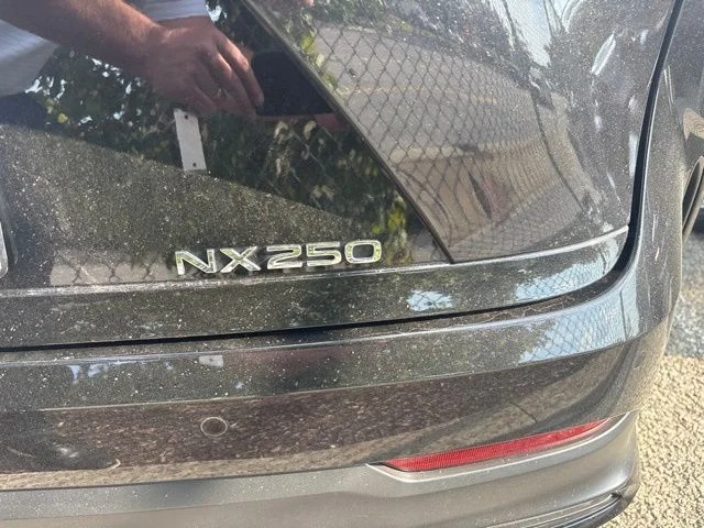 Used 2025 Black Lexus 250 Premium image 4