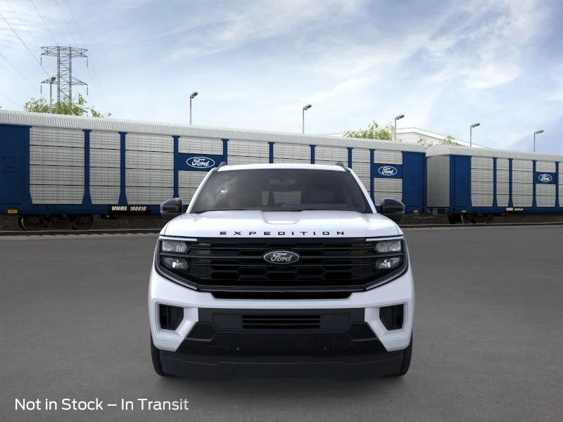New 2025 Silver Ford Platinum image 7