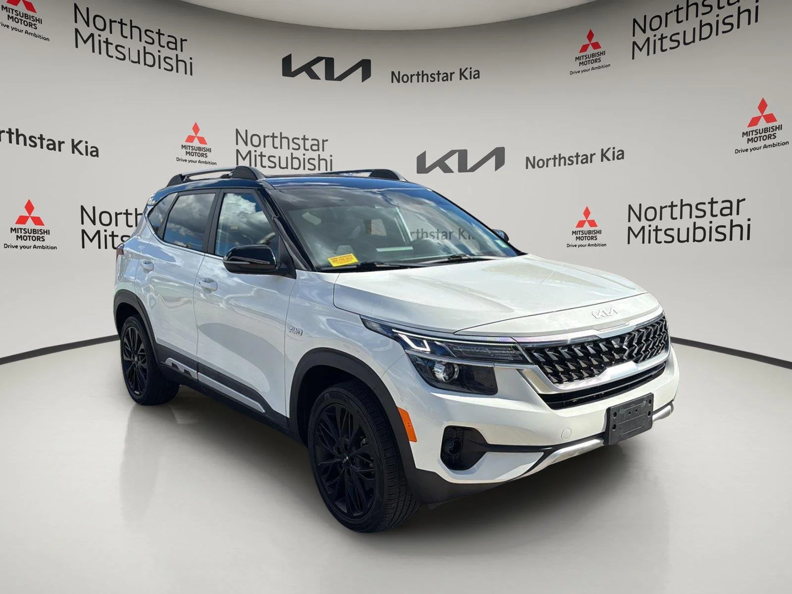 Used 2022 Clear White/Black Roof Kia Nightfall image 15