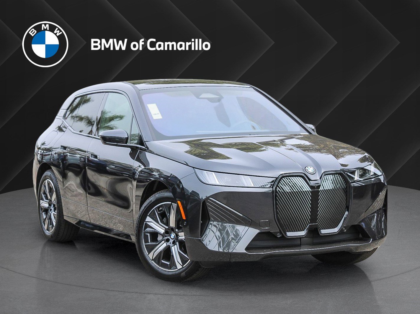 2026 BMW iX xDrive60's photo