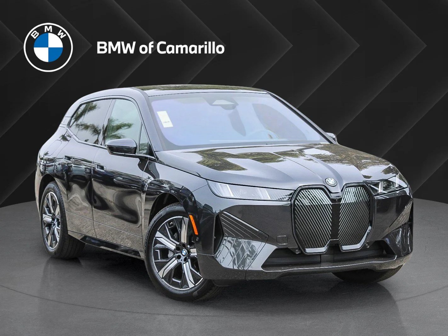 2026 BMW iX