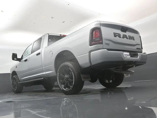 New 2026 Silver-Zynith Exterior Paint RAM  image 42