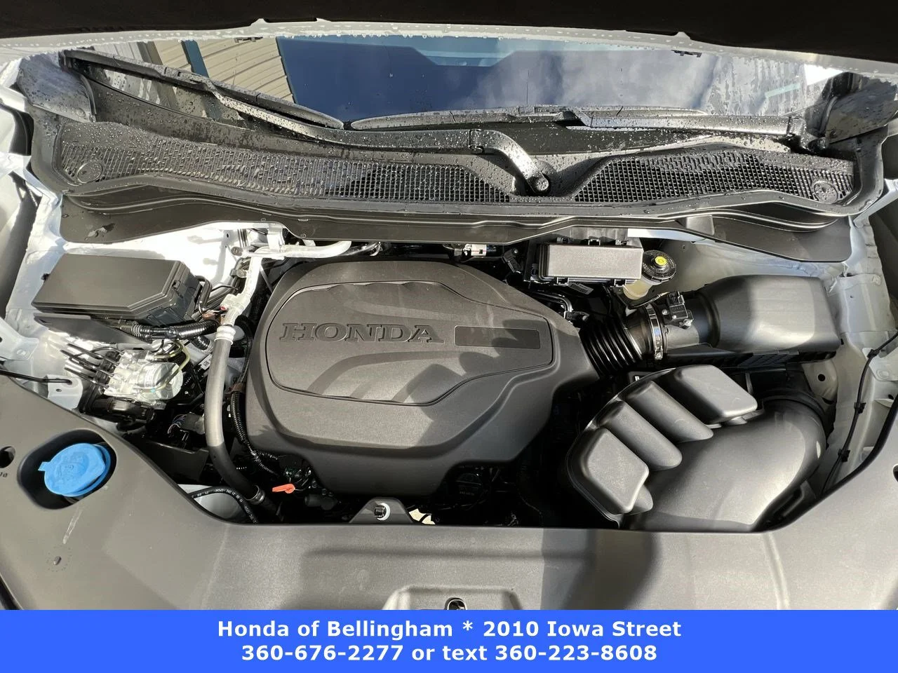 Used 2023 Platinum White Pearl Honda AWD BLACK EDITION image 27