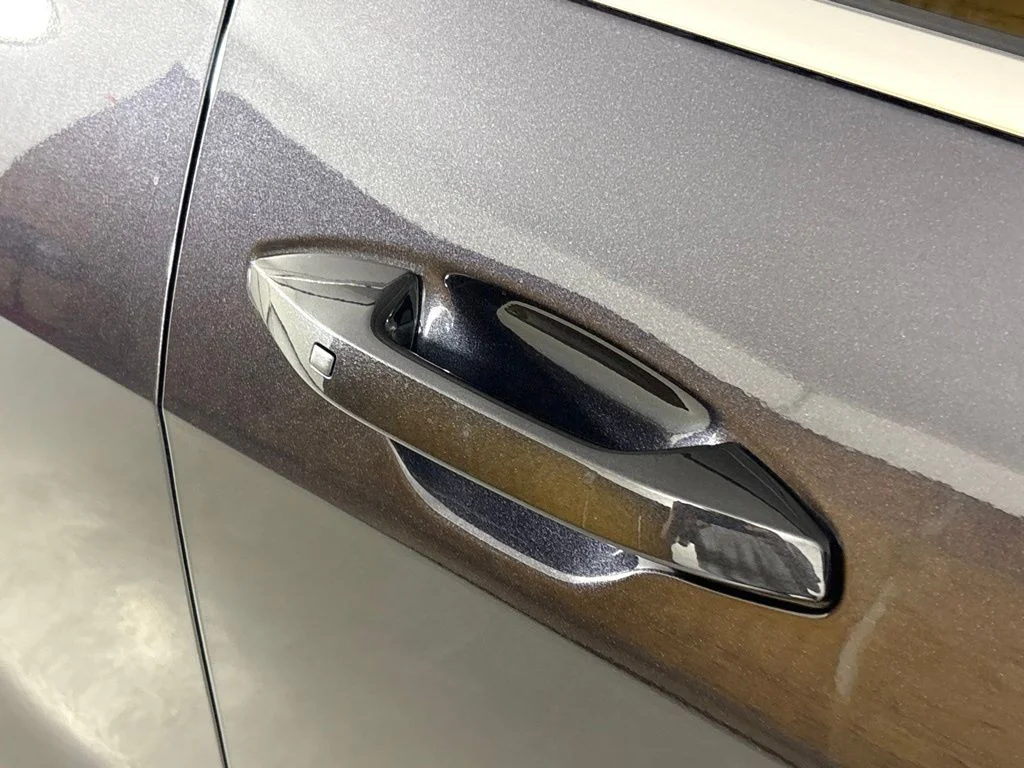 New 2026 Panthera Metal Kia EX image 12