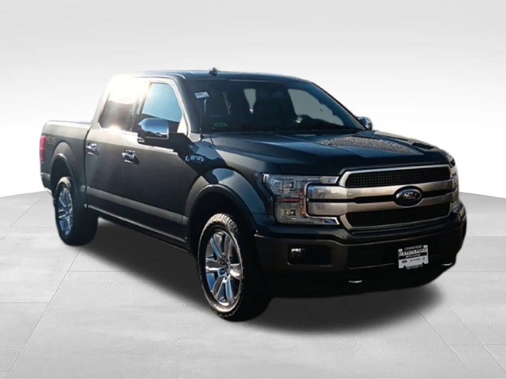 Used 2018 Magnetic Ford Platinum image 9