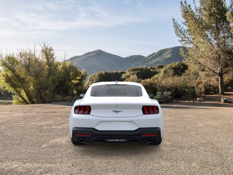 New 2026 Oxford White Ford EcoBoost® Fastback image 5