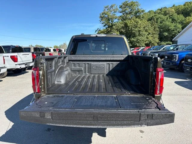 New 2026 Shelter Green Ford Raptor® image 53