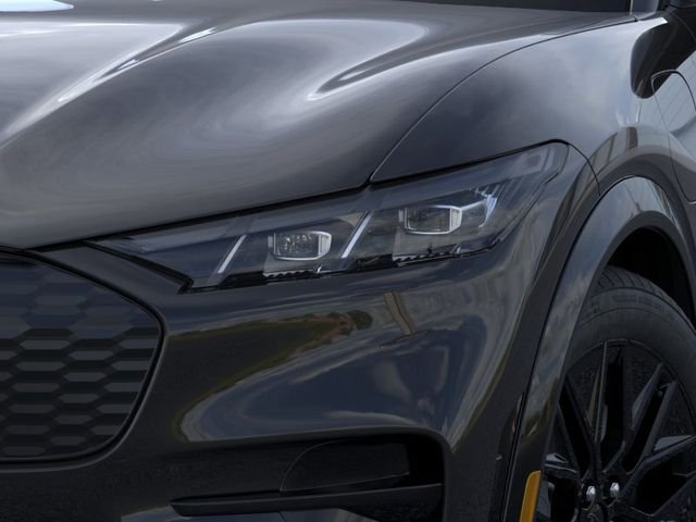 New 2026 Shadow Black Ford Premium image 18