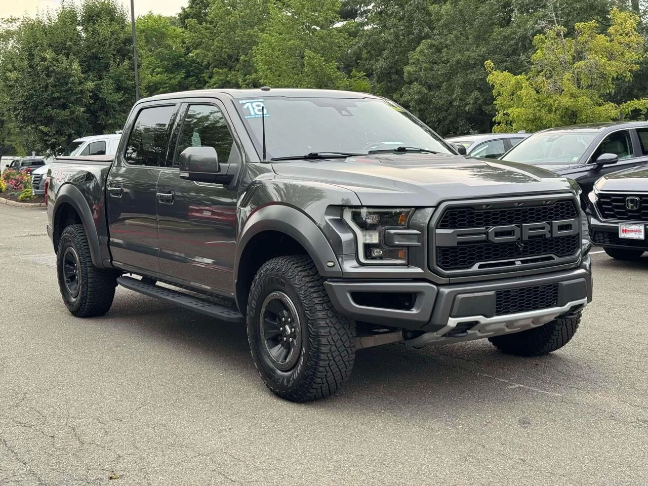 Used 2018 Magnetic Ford Raptor image 1