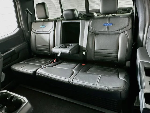 New 2026 Blue Ford Platinum image 11