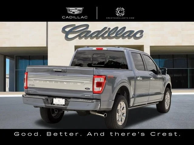 Used 2023 Gray Ford Platinum image 2