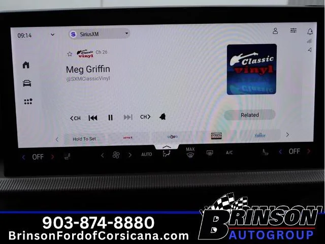 New 2026 Carbonized Gray Metallic Ford ST image 39
