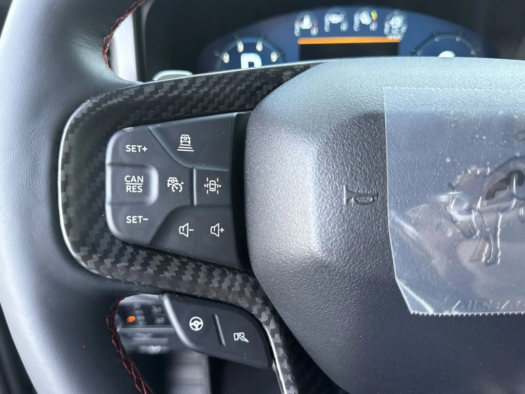 New 2026 Gray Ford Raptor image 23
