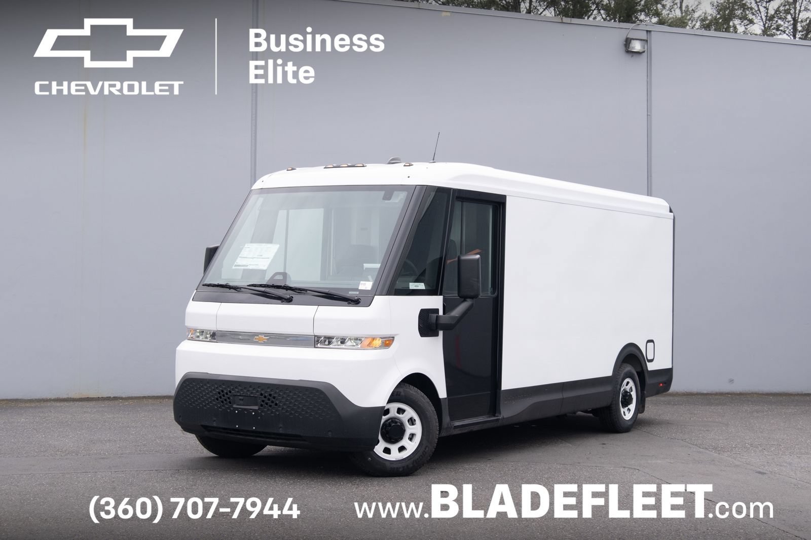 2025 Chevrolet BrightDrop BrightDrop 600 - Photo 1