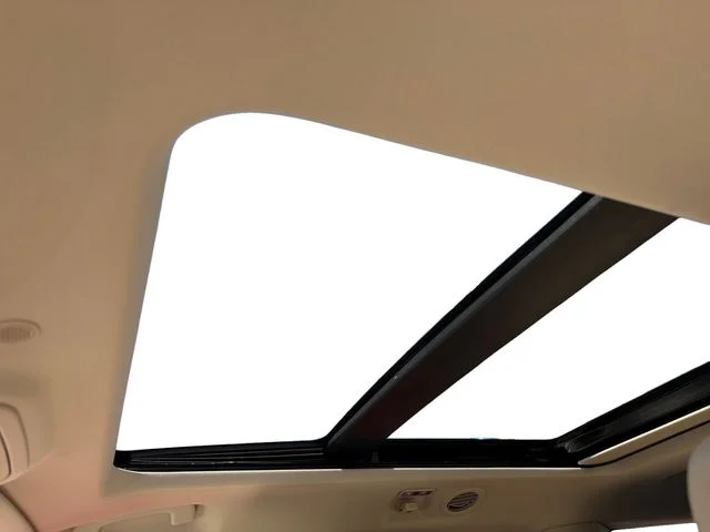 Used 2020 White Ford XLT image 15