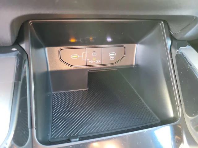 New 2026 Panthera Metal Kia LX image 18