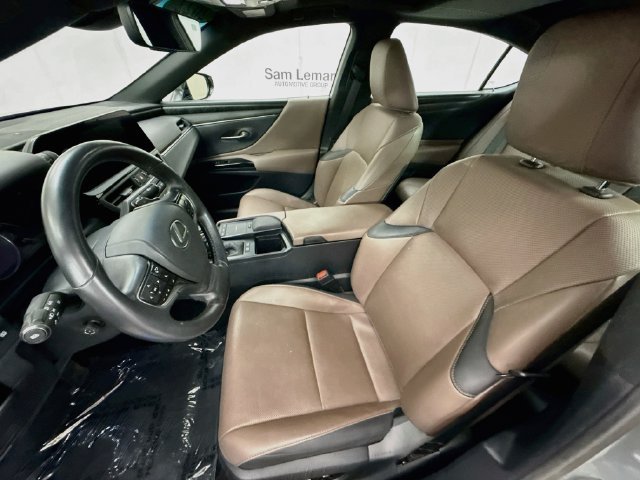 Used 2022 Iridium Lexus 300h image 22