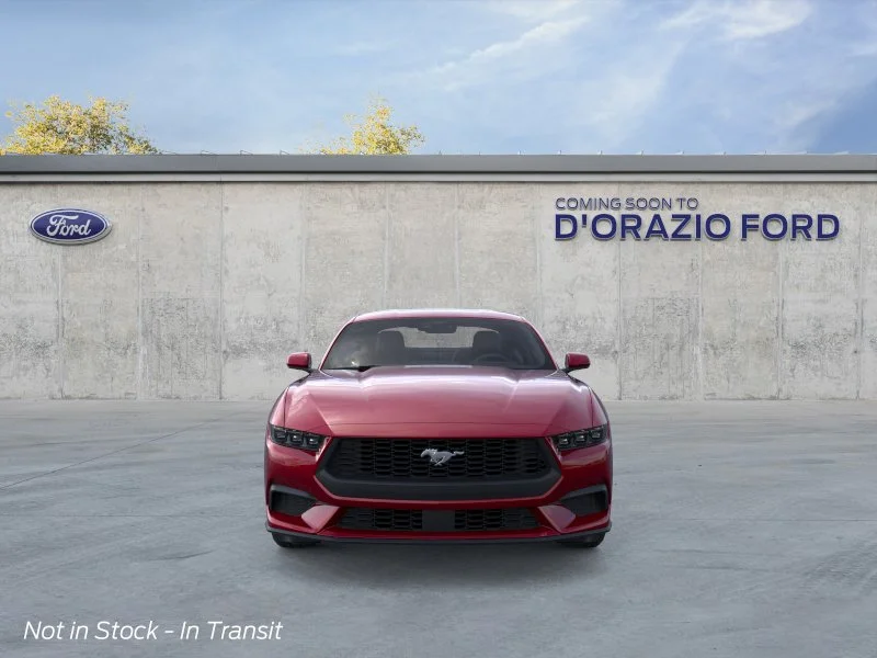 New 2026 Molten Magenta Metallic Tinted Clearcoat Ford EcoBoost® Fastback image 6