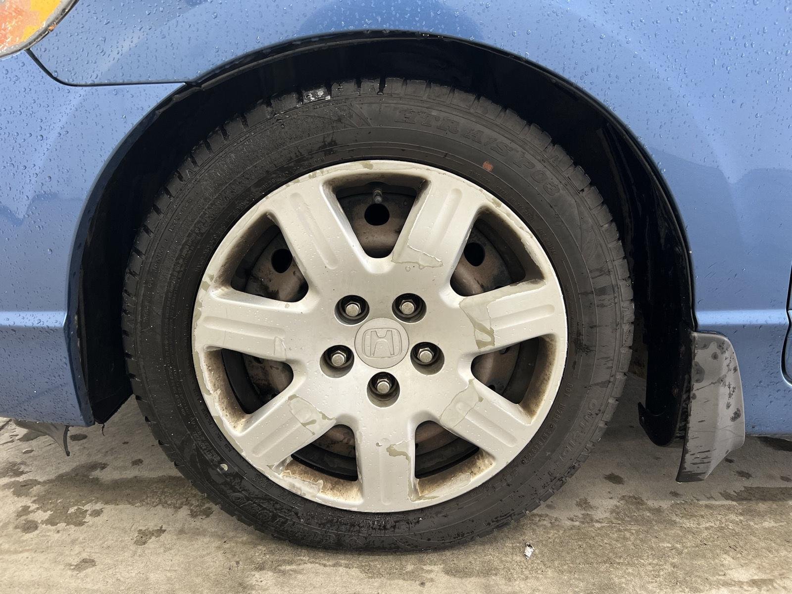 Used 2008 Royal Blue Pearl Honda LX image 7