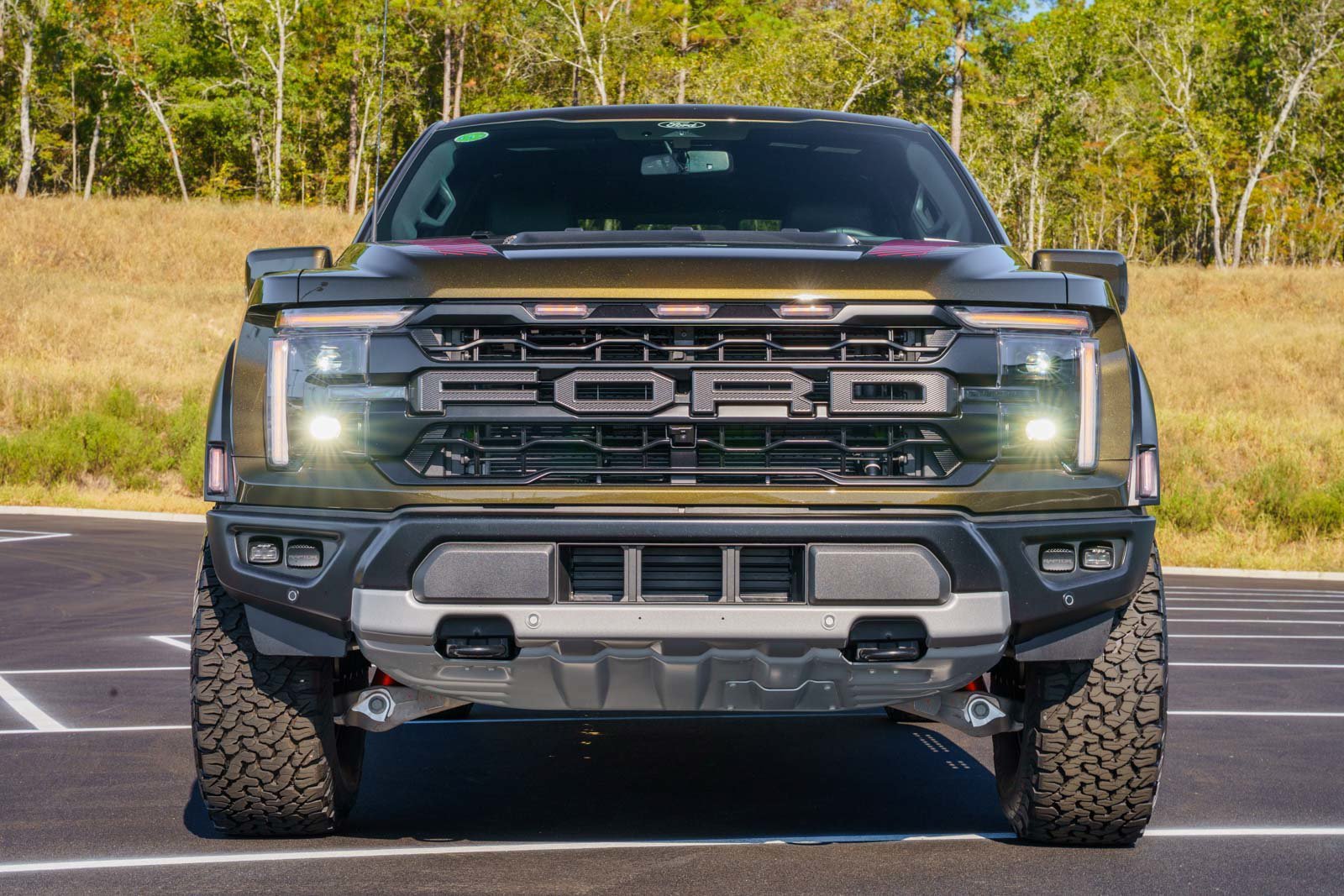 New 2026 Shelter Green Ford Raptor® image 2