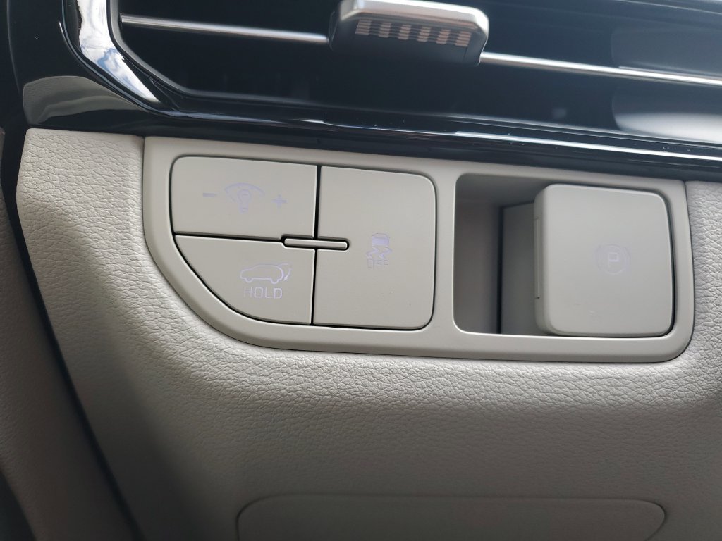 New 2026 Panthera Metal Kia EX image 26