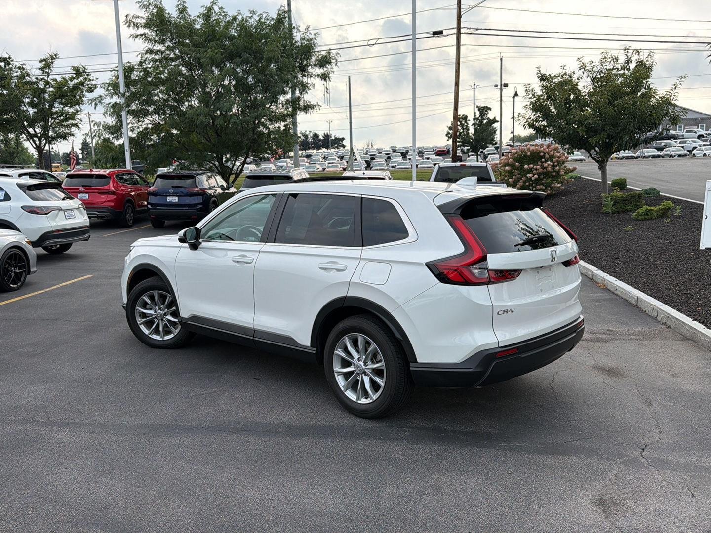 Used 2024 Platinum White Pearl Honda EX image 5
