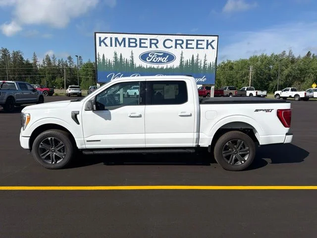 Used 2023 Ford F-150 XLT with VIN 1FTFW1ED0PFD09534 for sale in Pine River, Minnesota
