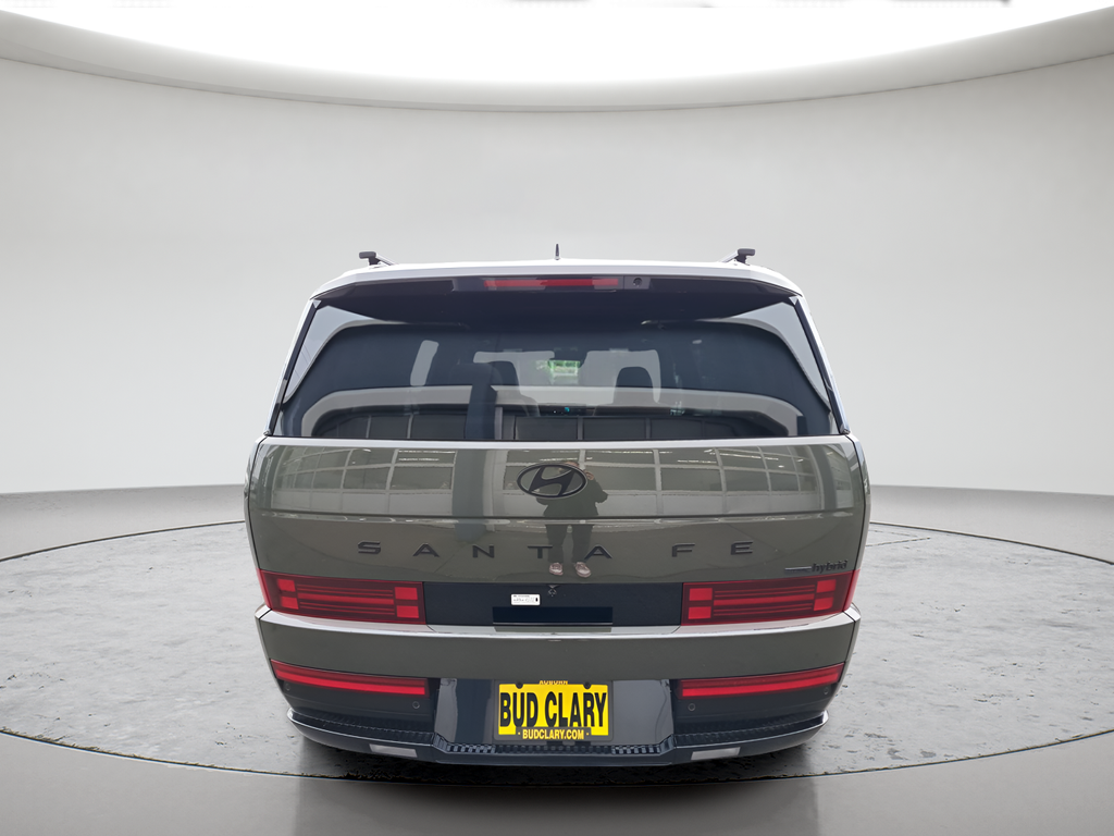 New 2026 Green Hyundai Calligraphy image 4