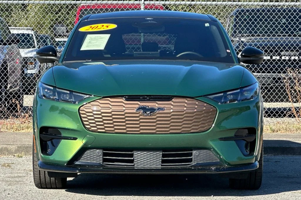 Used 2025 Green Metallic Ford GT image 10