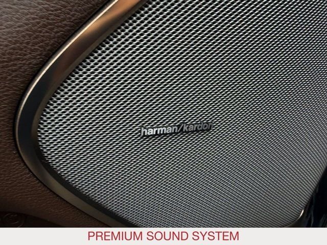 Used 2025 Black Ram Limited image 16