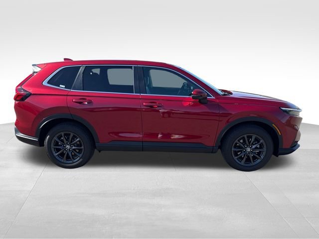 New 2026 Radiant Red Honda EX-L image 9