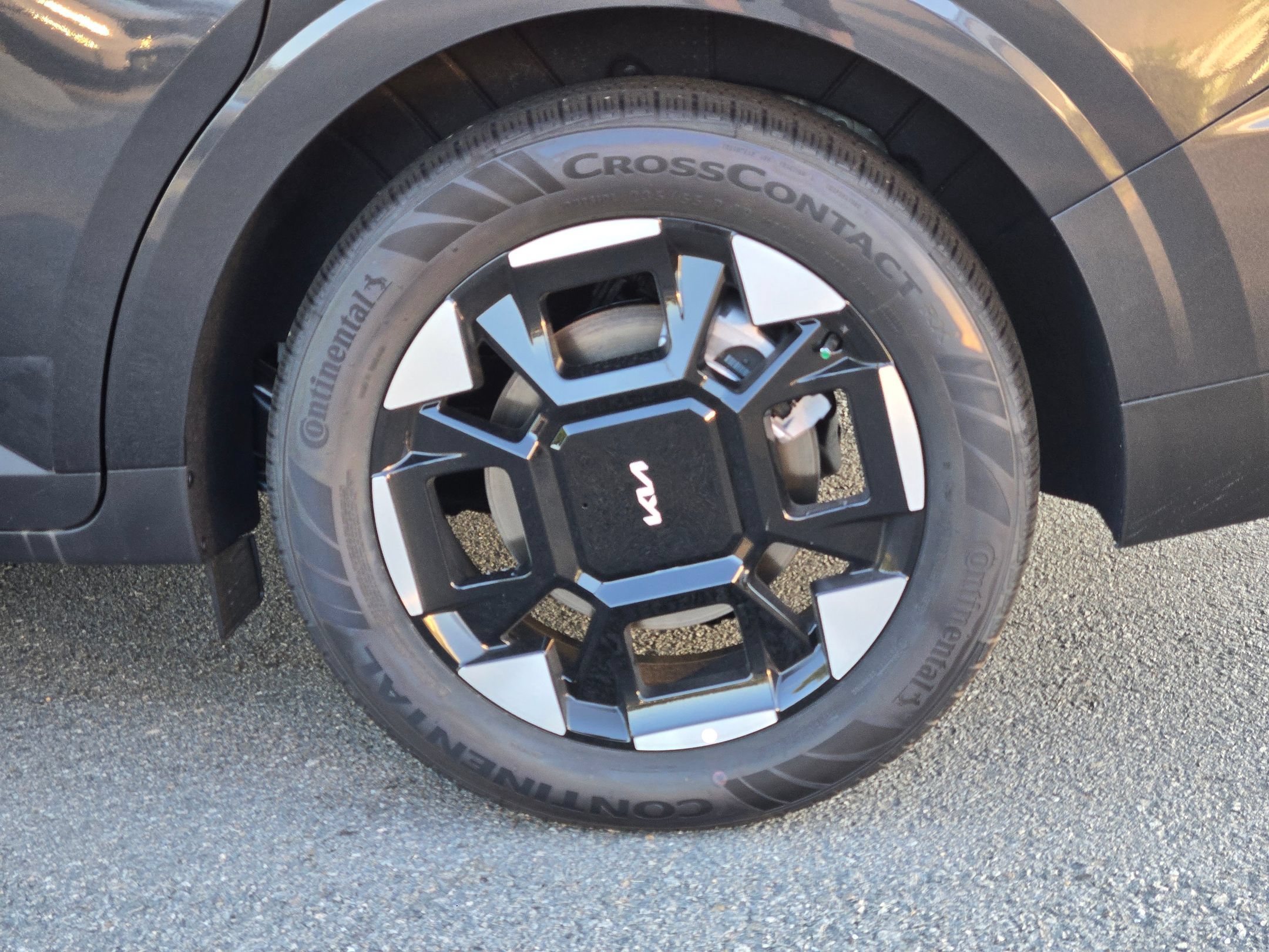 New 2026 Panthera Metal Kia EX image 13