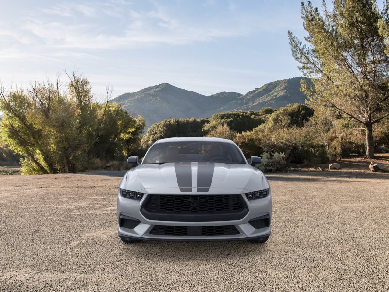 New 2026 Avalanche Gray Ford EcoBoost® Fastback image 28