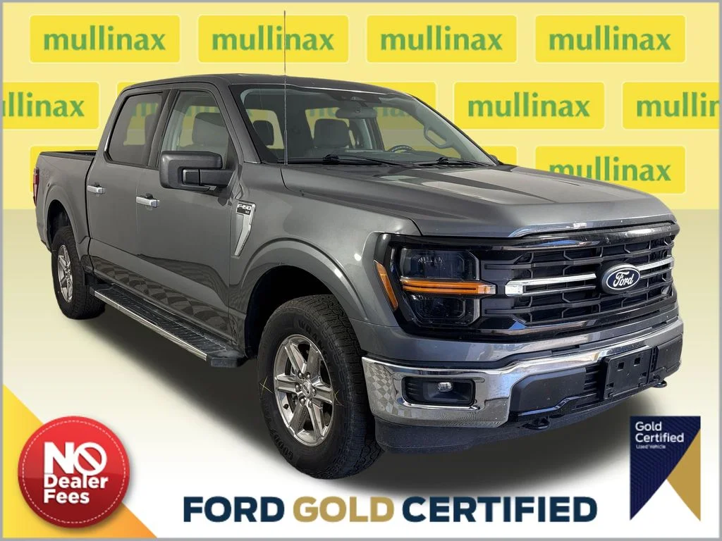 Certified Used 2025 Gray Ford XLT image 1